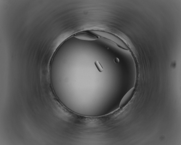 X0000091541242200708241726