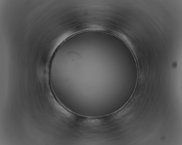 X0000091541243200708241726
