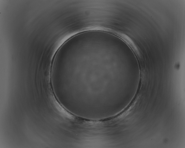 X0000091541244200708241726