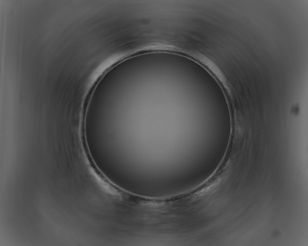 X0000091541245200708241726