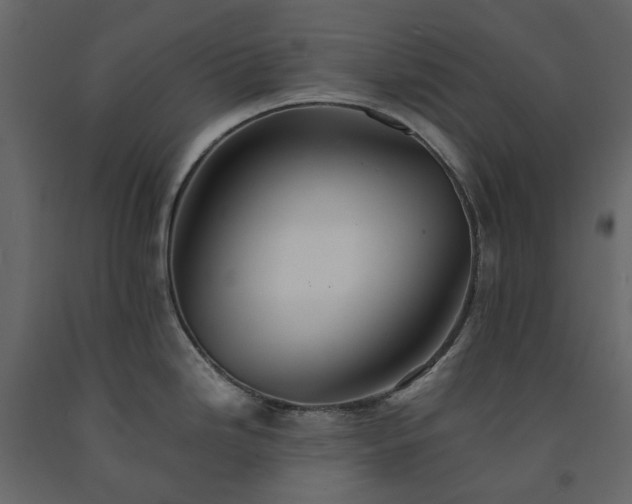 X0000091541246200708241726