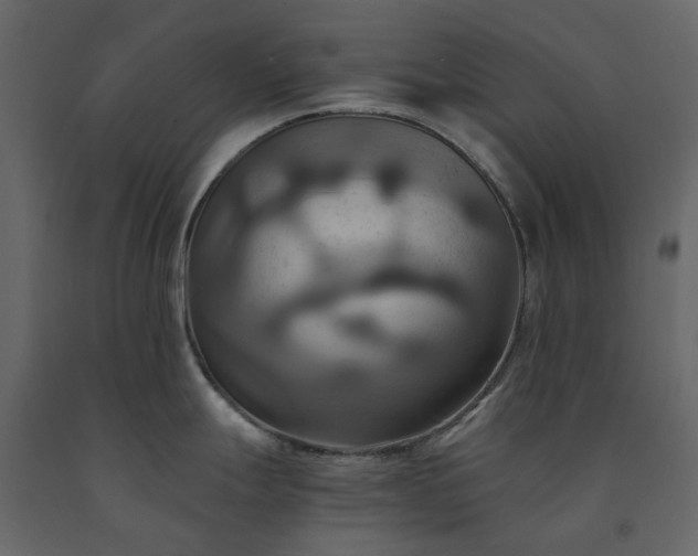 X0000091541247200708241726