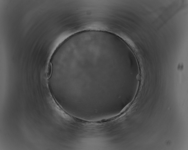 X0000091541248200708241726