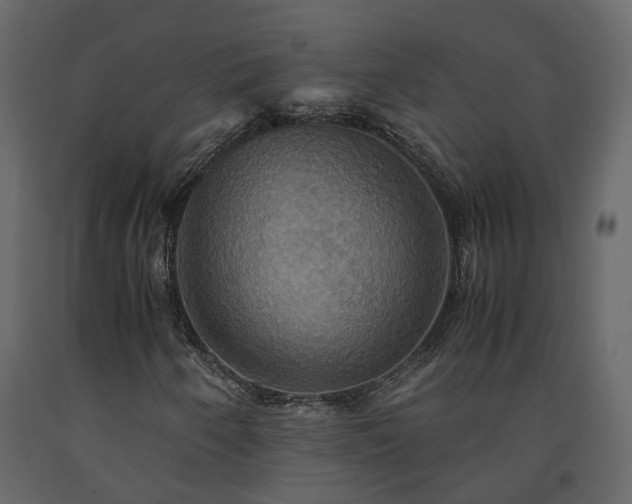 X0000091541250200708241725