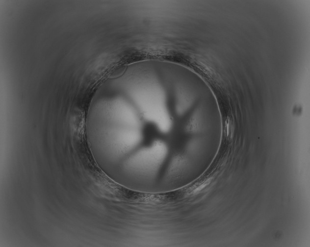 X0000091541251200708241725