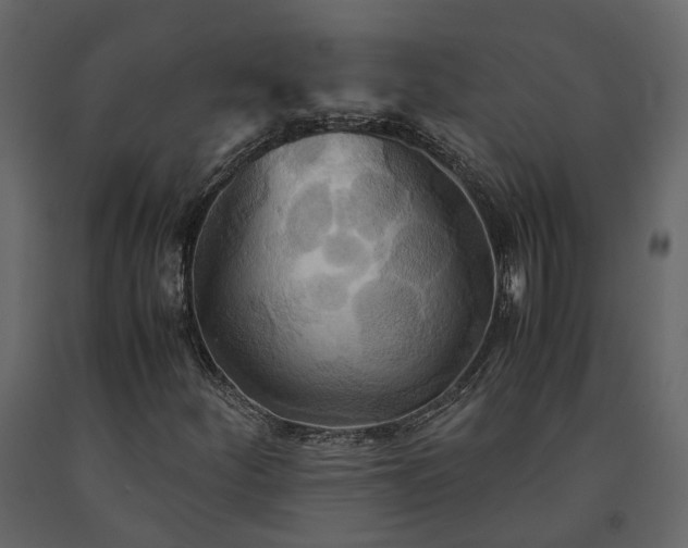 X0000091541252200708241725