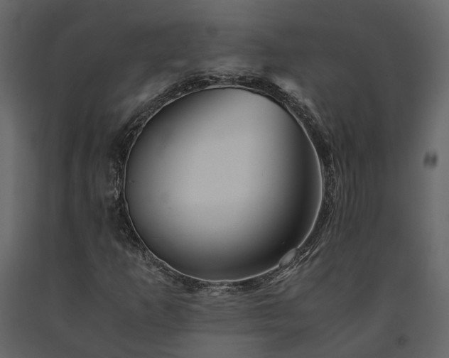 X0000091541253200708241725
