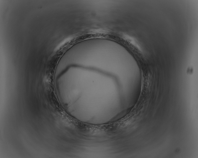 X0000091541254200708241725