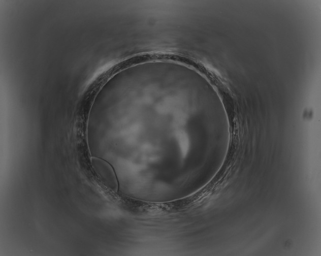 X0000091541255200708241725