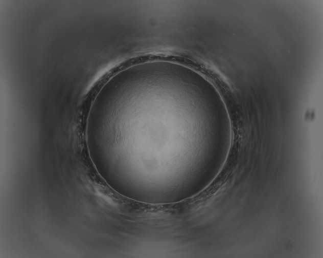 X0000091541256200708241725