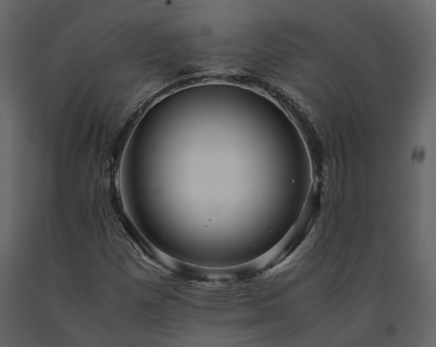 X0000091541257200708241725