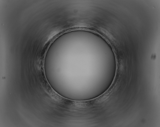 X0000091541258200708241725