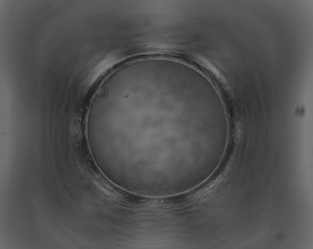 X0000091541259200708241725