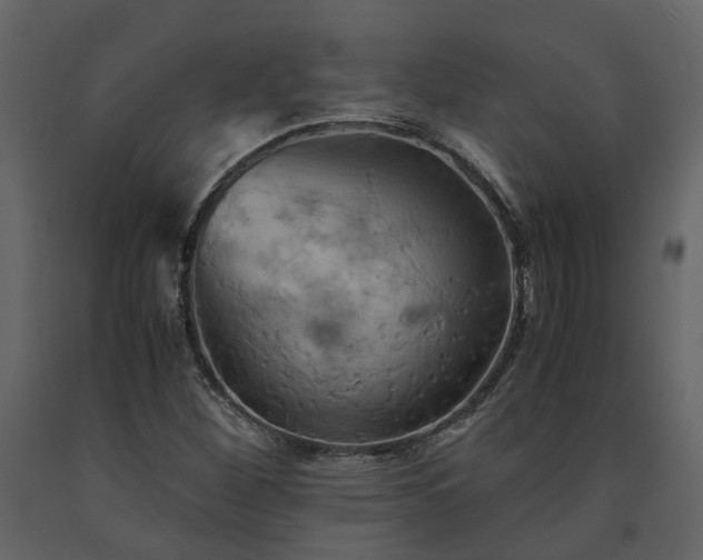 X0000091541260200708241725