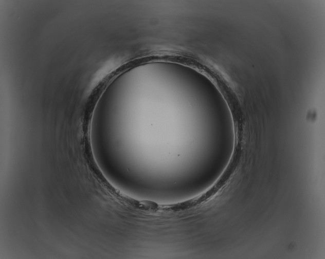 X0000091541261200708241725