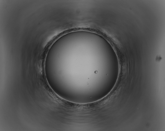 X0000091541262200708241725