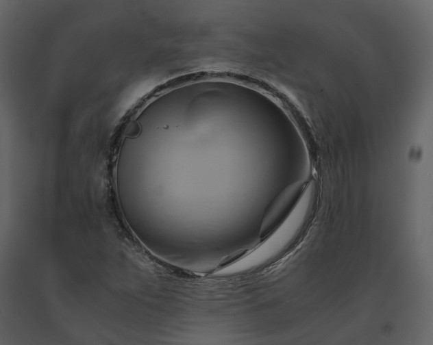 X0000091541263200708241725