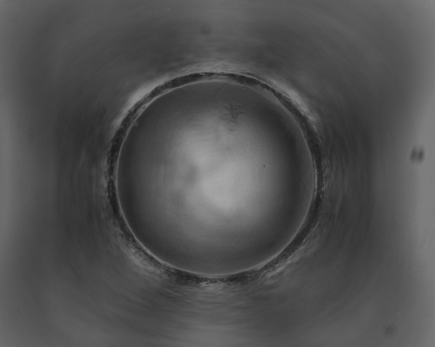 X0000091541264200708241725