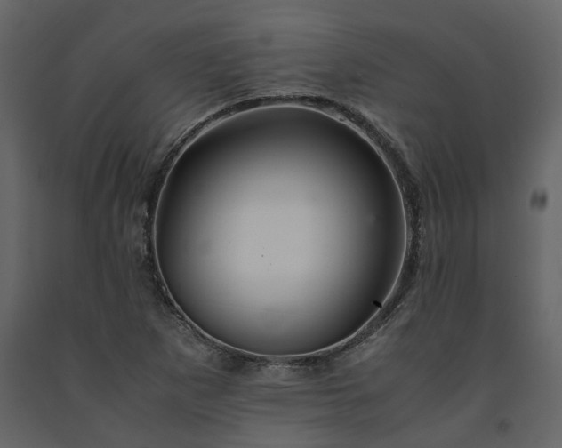 X0000091541265200708241725