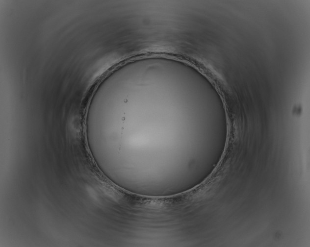 X0000091541266200708241725