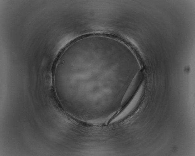 X0000091541267200708241725