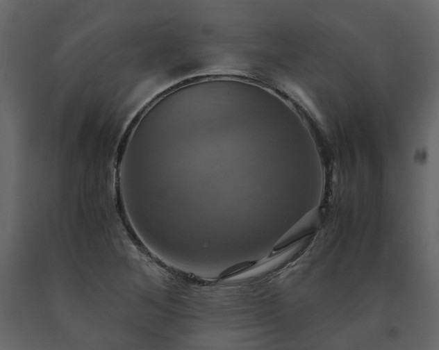 X0000091541268200708241725