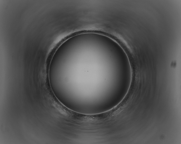 X0000091541270200708241725