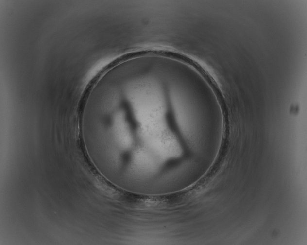 X0000091541271200708241725