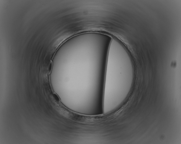 X0000091541273200708241725