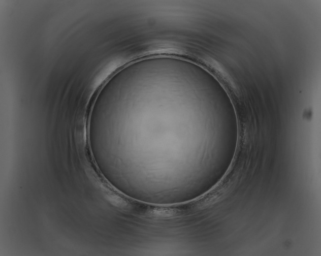 X0000091541274200708241725