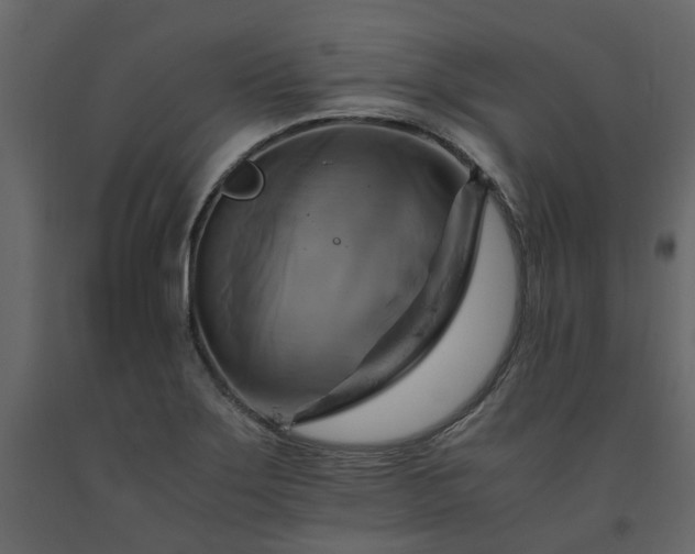 X0000091541275200708241725