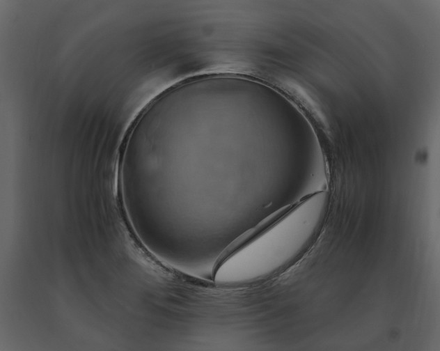X0000091541276200708241725