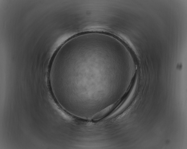 X0000091541277200708241725