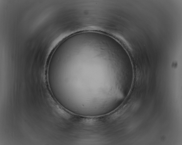 X0000091541278200708241725
