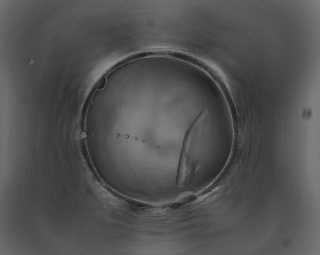 X0000091541279200708241725