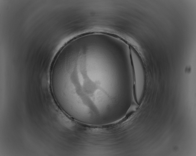 X0000091541280200708241725