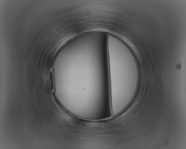 X0000091541281200708241725