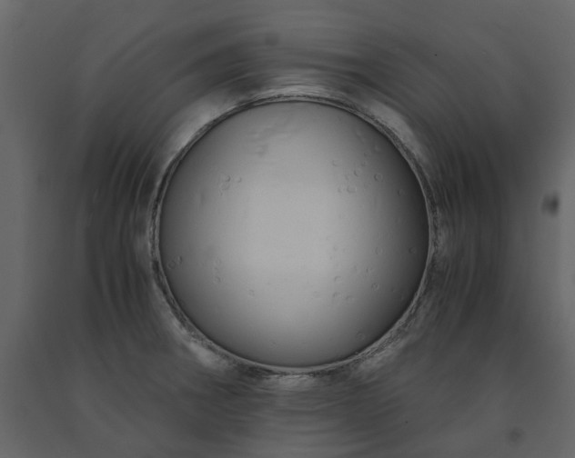 X0000091541282200708241725