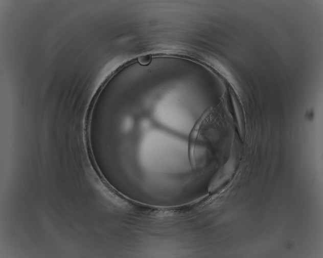 X0000091541283200708241725