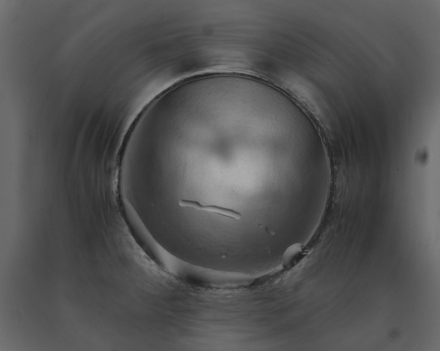 X0000091541284200708241725