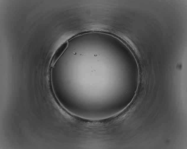 X0000091541285200708241725