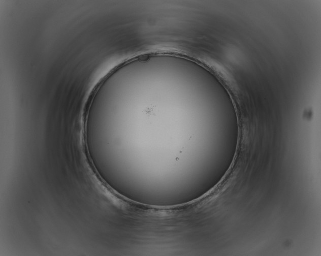 X0000091541286200708241725