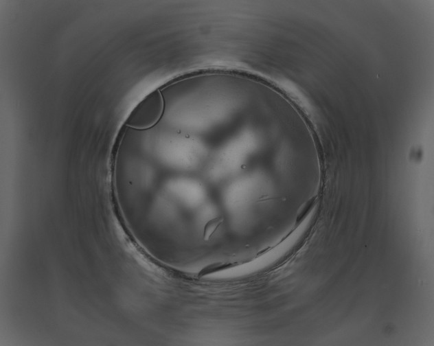 X0000091541287200708241725
