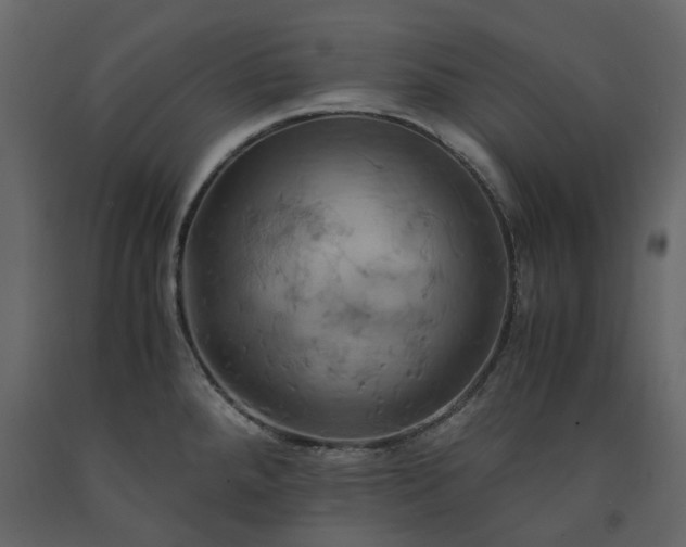 X0000091541288200708241725