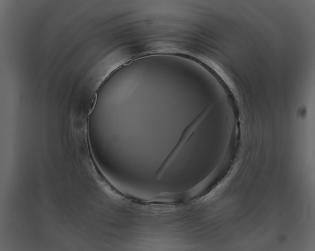 X0000091541289200708241725