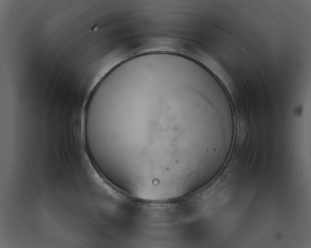 X0000091541290200708241725