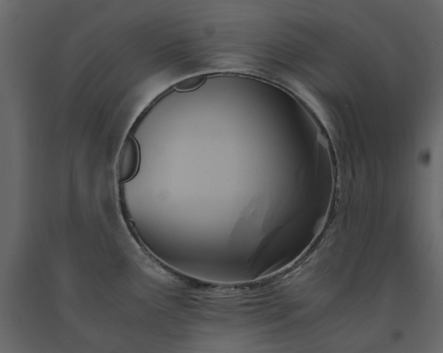 X0000091541291200708241725