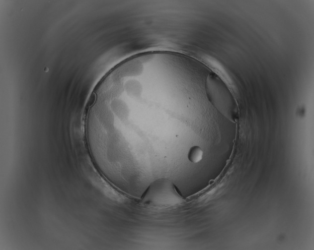X0000091541292200708241725