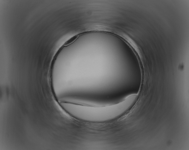 X0000091541293200708241725
