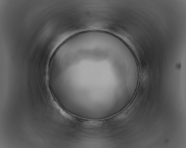 X0000091541294200708241725